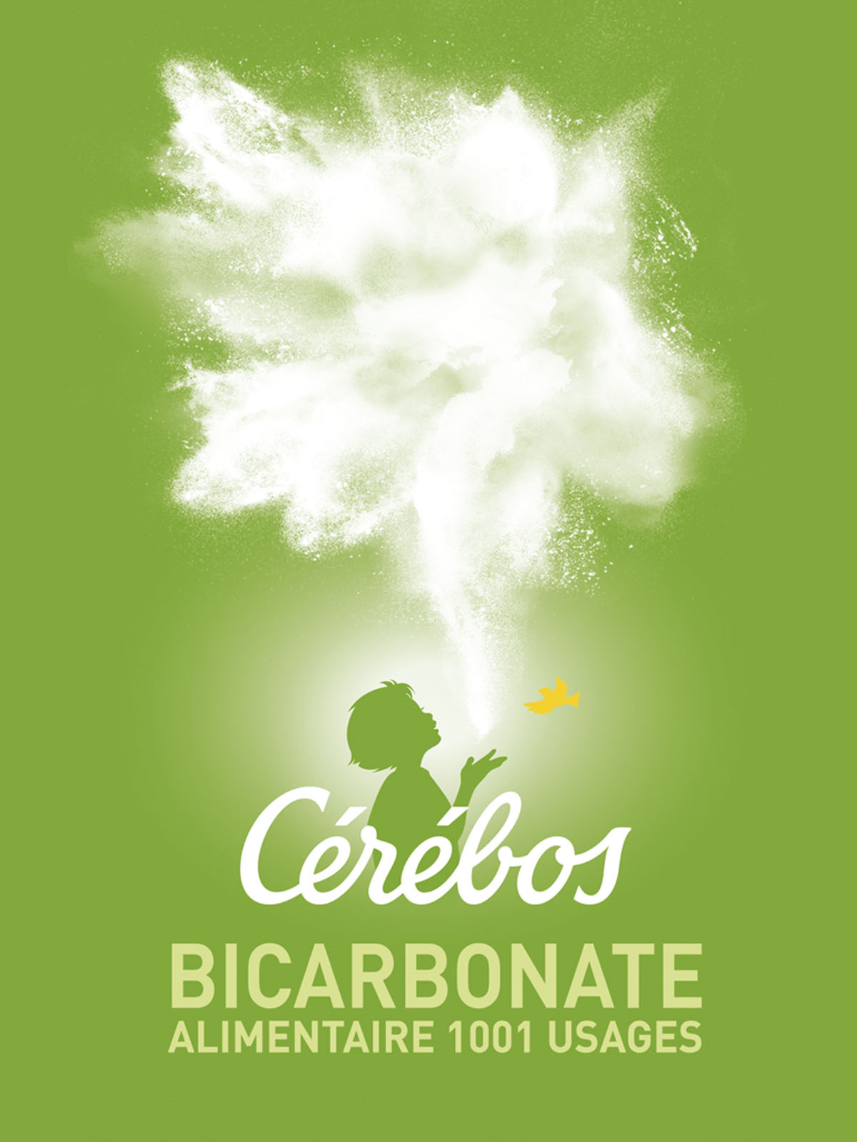 Cerebos Bicarbonate